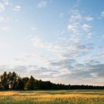 green grass field under blue sky during daytime