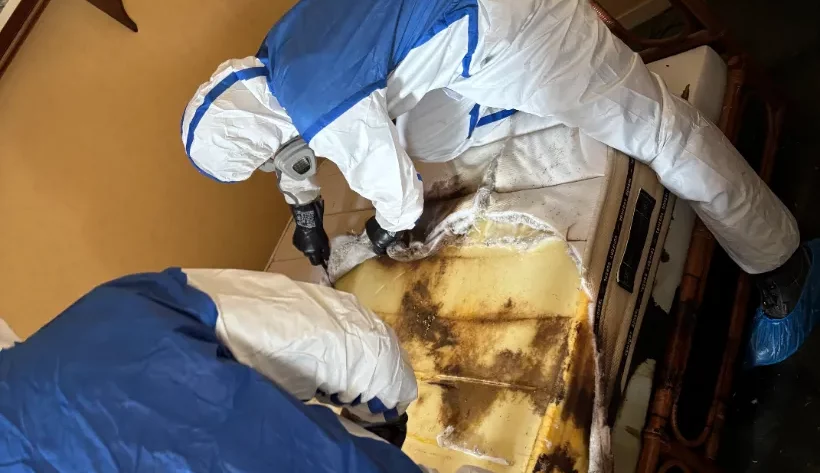 logement insalubre à Tours
